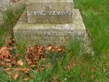 image of grave number 140978